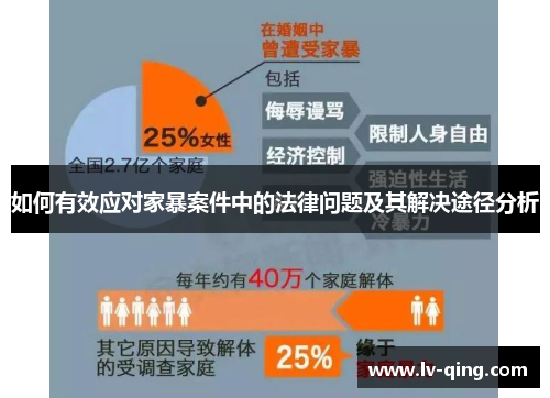如何有效应对家暴案件中的法律问题及其解决途径分析