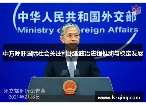 中方呼吁国际社会关注利比亚政治进程推动与稳定发展